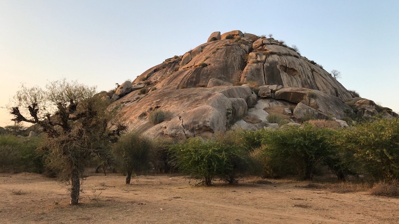 Varawal Leopard Camp